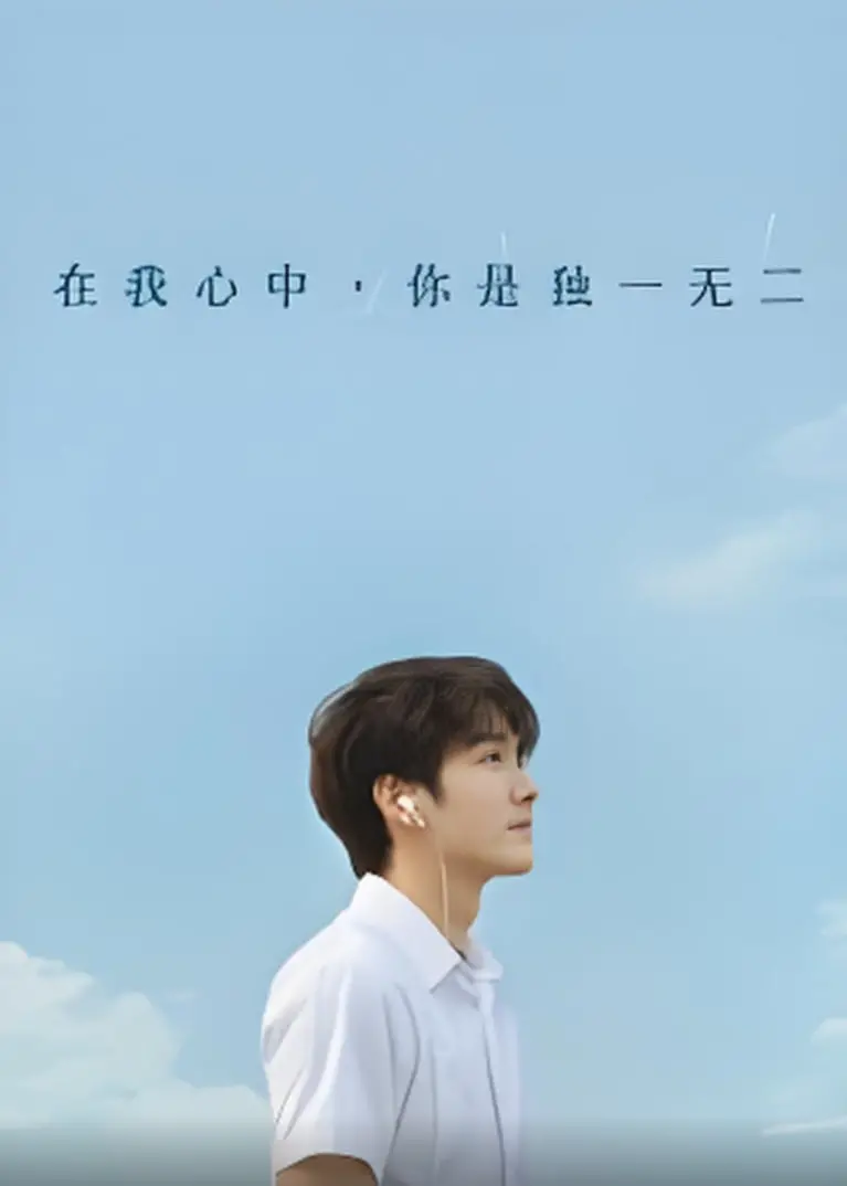 在我心中你是独一无二 海报