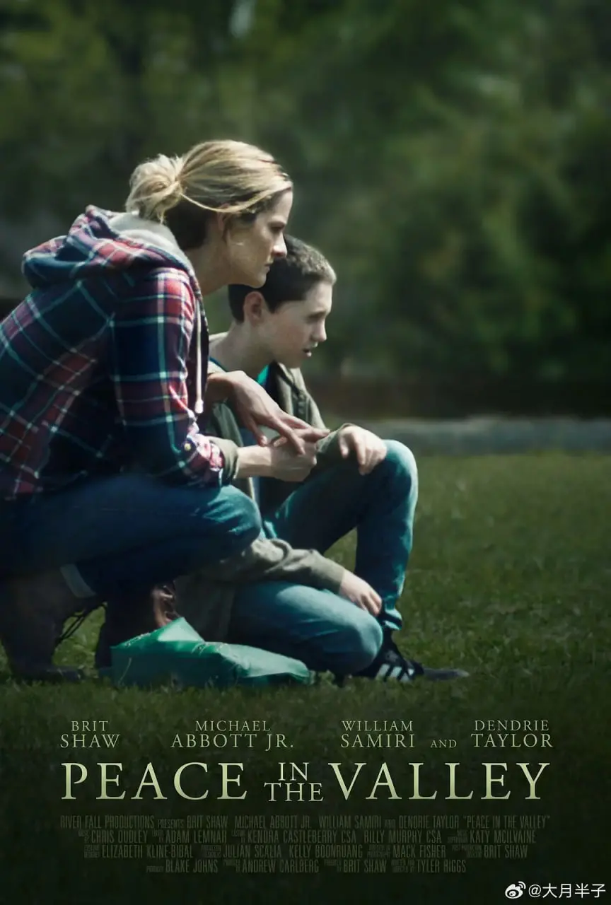 《山谷里的和平》：战争阴影下的希望之光，用爱与宽恕，能否在山谷中重建和平？