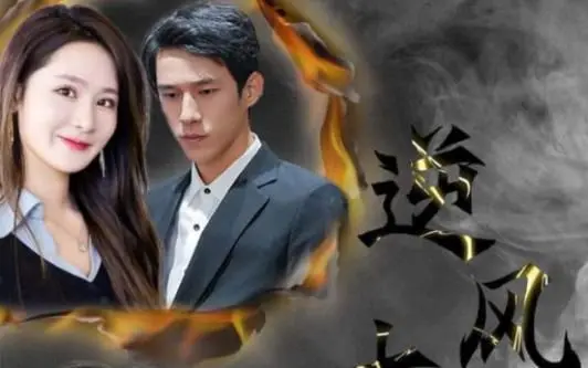 逆风大小姐 海报