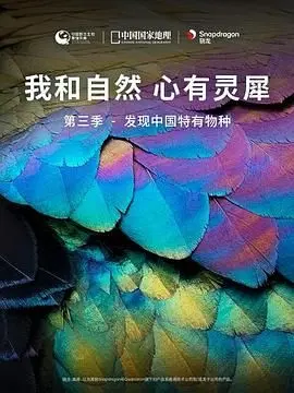 《我和自然 心有灵犀》第三季：探秘中国特有物种，感受生命的神奇与壮丽！