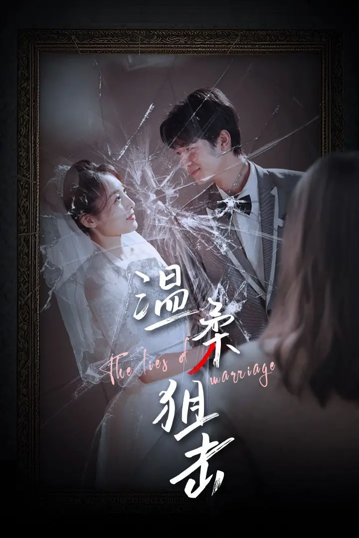 温柔狙击（婚姻迷雾）（婚姻的谎言） 海报