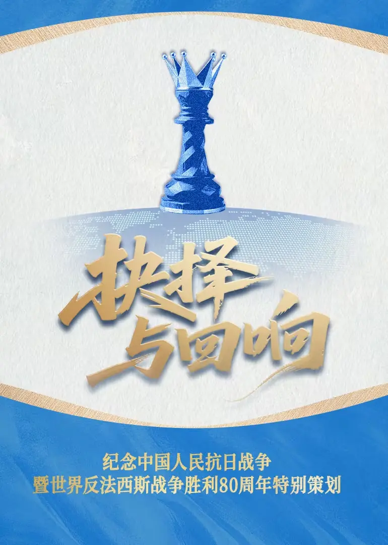 《抉择与回响》：人生岔路口的艰难求索，命运齿轮下的爱恨纠葛